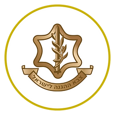 11.png